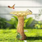 solar fountian - Expert Guide and Reviews
