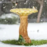 water fountain for sale outdoor - Expert Guide and Reviews